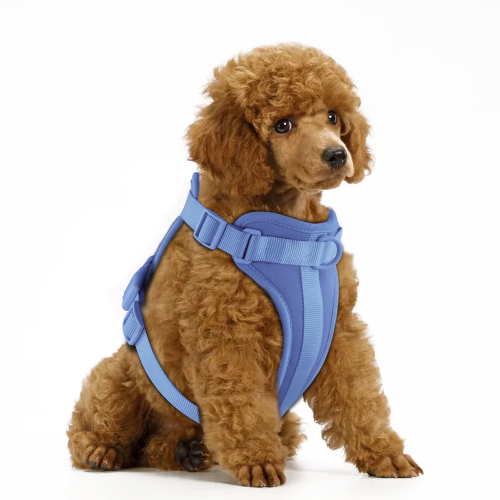 Wisedog No Pull Lightweight Dog Vest Harness With Soft And Comfortable Cushion, Breathable Mesh, For Small Medium Large Dogs Walking (Xs(Neck: 7.48'-10.63';Chest: 10.63'-15.35'), Blue)