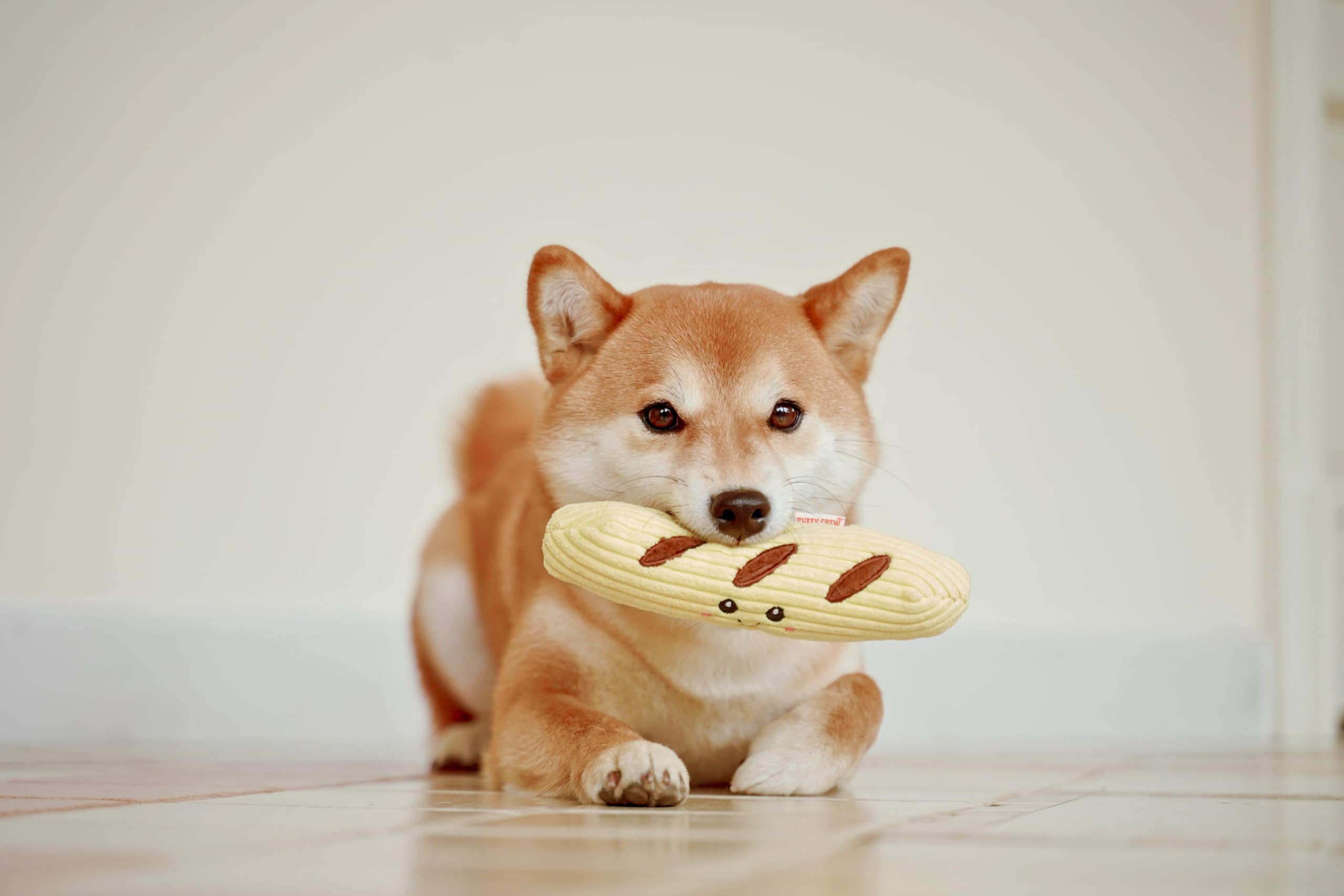 Puffy Crew Squeaky Dog Plush Toy, Bakery Bite_Stick Collection, 8'', For Small And Medium Dogs (Baguette, Small)