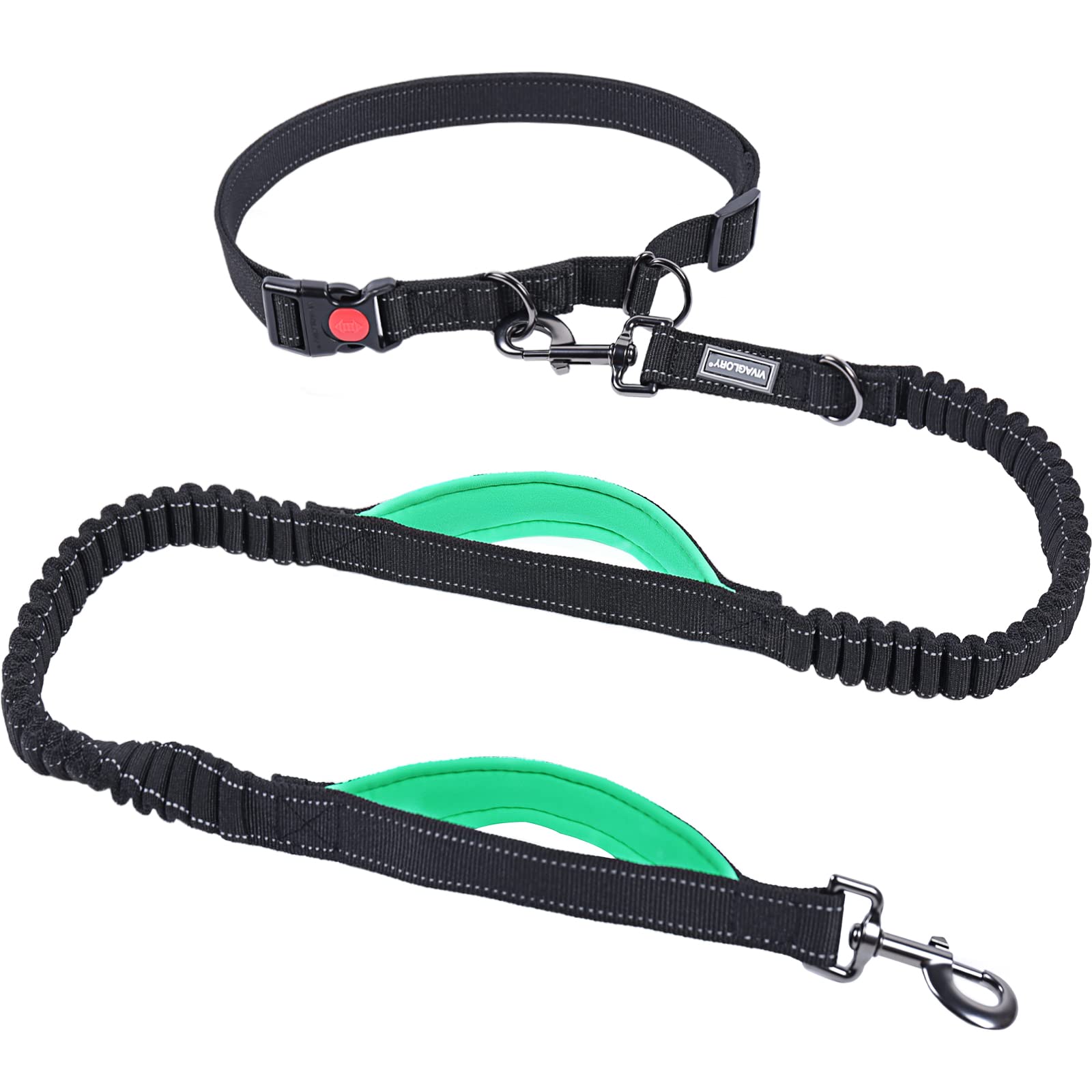 Vivaglory Hands Free Dog Leash With Dual Advanced Anti-Shock Bungees And Padded Handles, Reflective Waist Running Leash With Adjustable Belt For Medium Large Dogs, Black/Turquoise