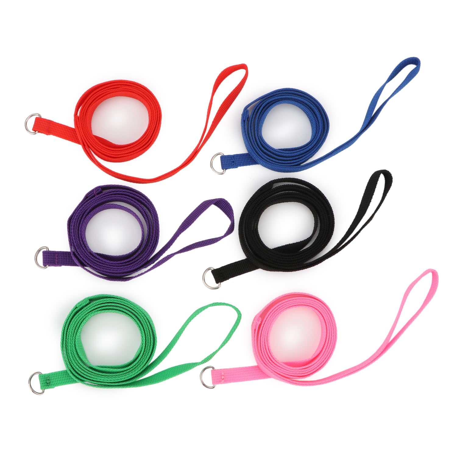 Hypeety Slip Leads for Dogs - 6 Pcs Bulk Pack, Nylon, One Size, Ideal for Grooming and Kennel Use