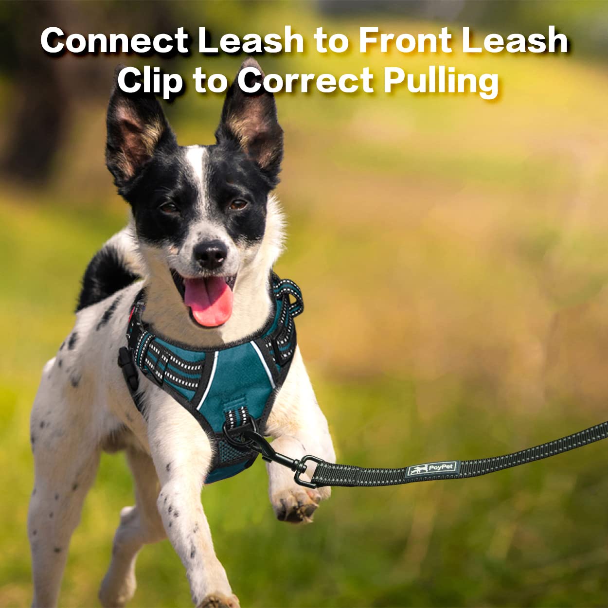 Poypet No Pull Dog Harness, No Choke Front Clip Reflective Dog Vest With Soft Padded Vertical Handle, 3 Leash Attachments For Small Medium Large Dogs (Tumalo Teal,M)