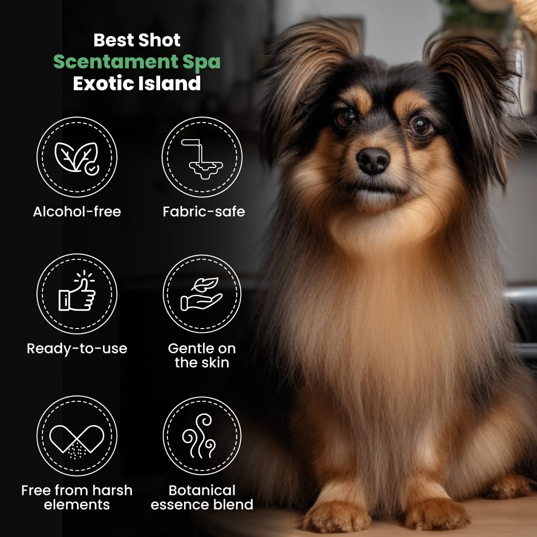 Best Shot Scentament Spa Botanical Body Splash, Detangler Spray, Hypoallergenic Body Spray for Pets, Cat and Dog Cologne Spray,