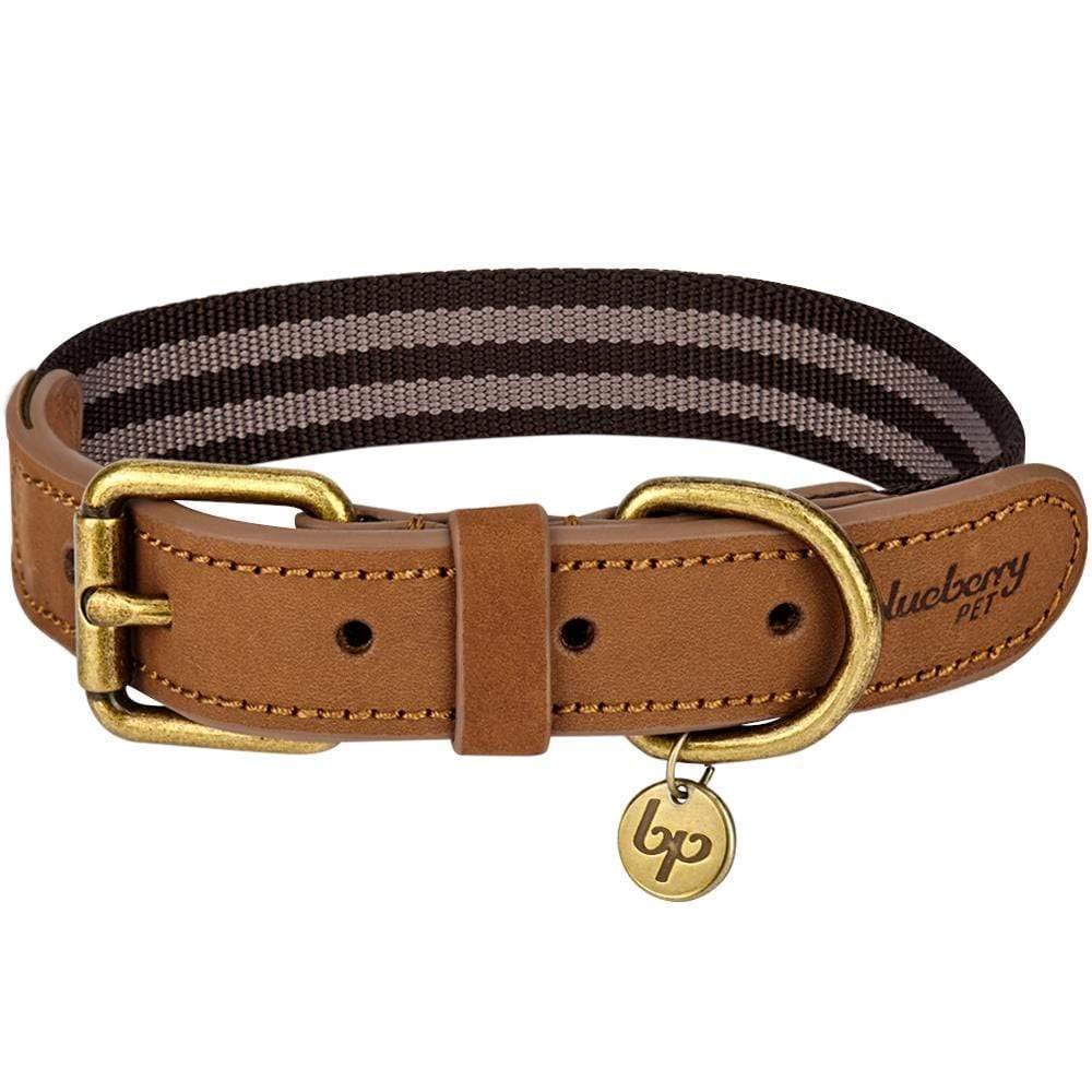 Blueberry Pet Soft & Comfy Leather Dog Collar - Adjustable Dog Collars For Small Dogs, Genuine Leather Collar For Dogs, Classic 