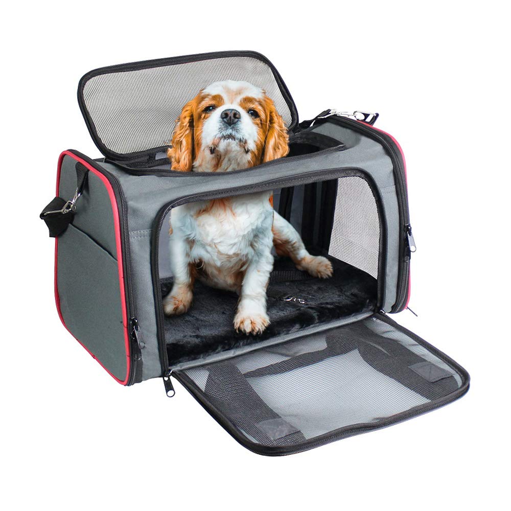 GOOPAWS SoftSided Kennel Pet Carrier for Small Dogs, Cats, Puppy, Airline Approved Cat Carriers Dog Carrier Collapsible, Travel