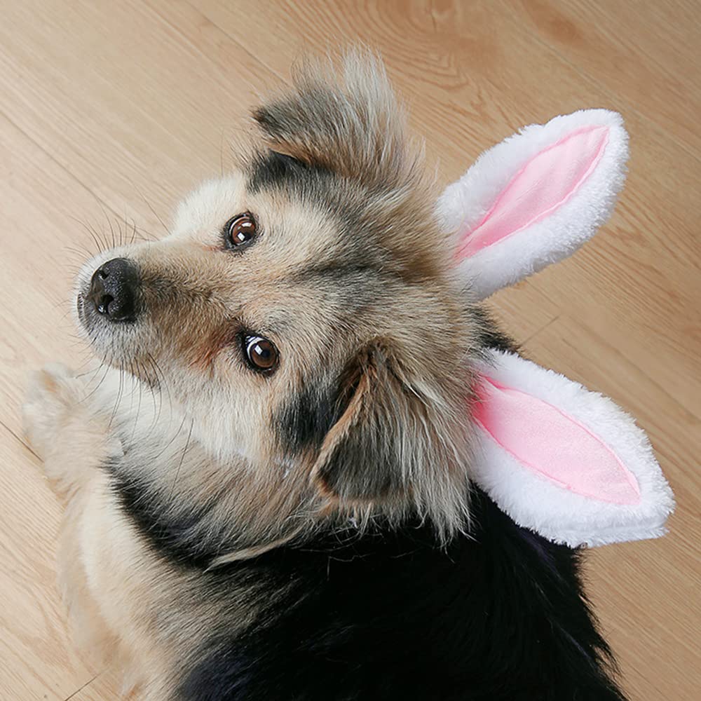 Aniac Easter Dog Headband For Small Medium Dog,Plush Dog Cat Hat With Bunny Ears, Cute Dog Head Accessories,Pet Easter Costume F