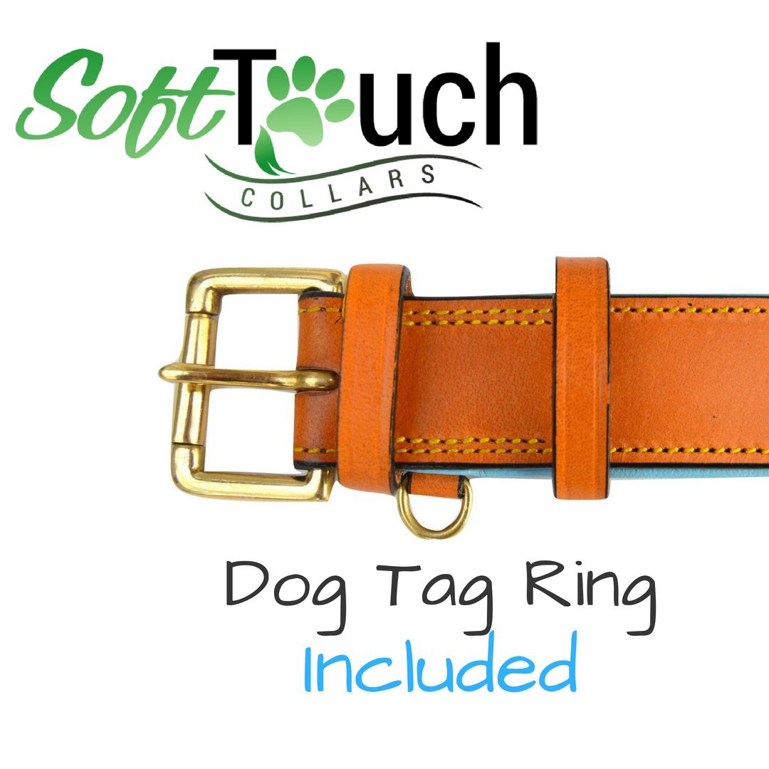 Soft Touch Collars Leather Padded Dog Collar, Large 24" x 1.5", Tan/Teal, Genuine Leather for Neck Size 18" to 21"