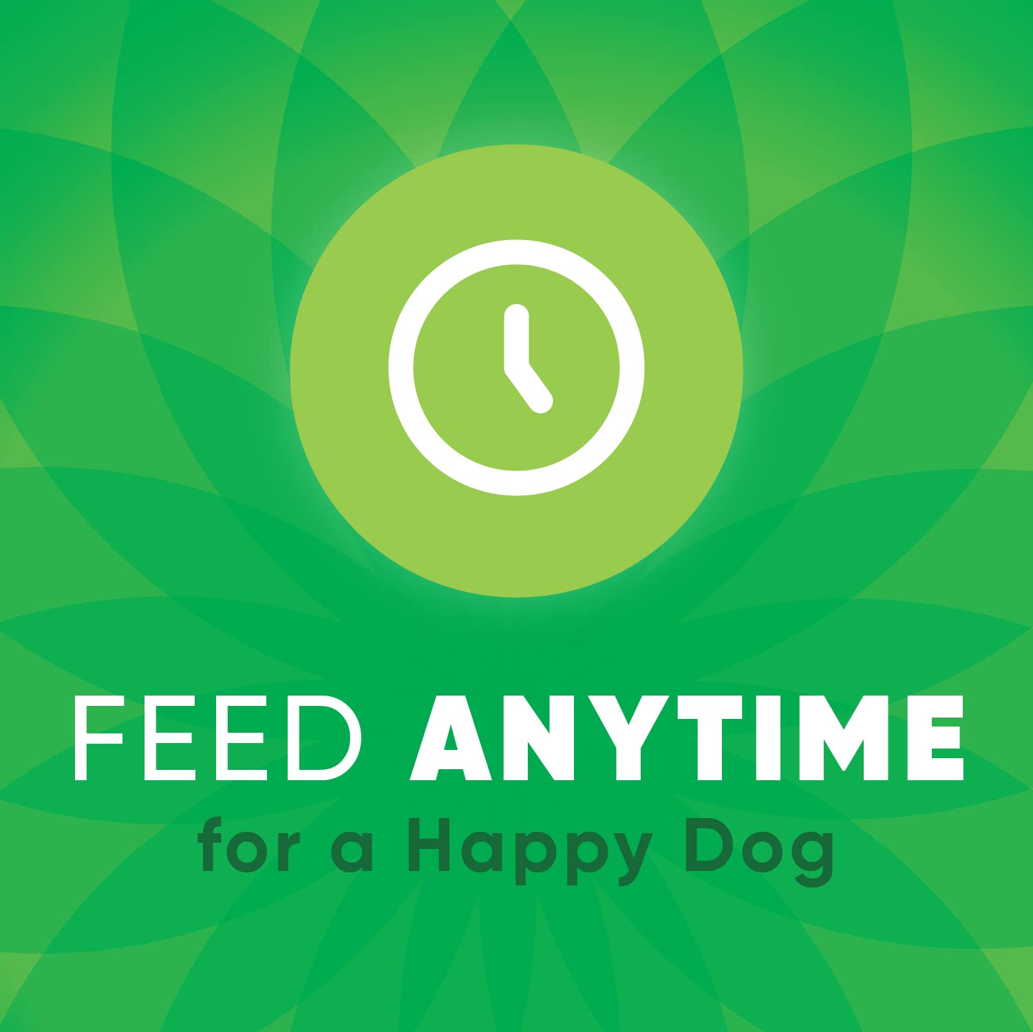 Greenies Anytime Bites Dog Treats, Original Flavor, 24 oz. bag