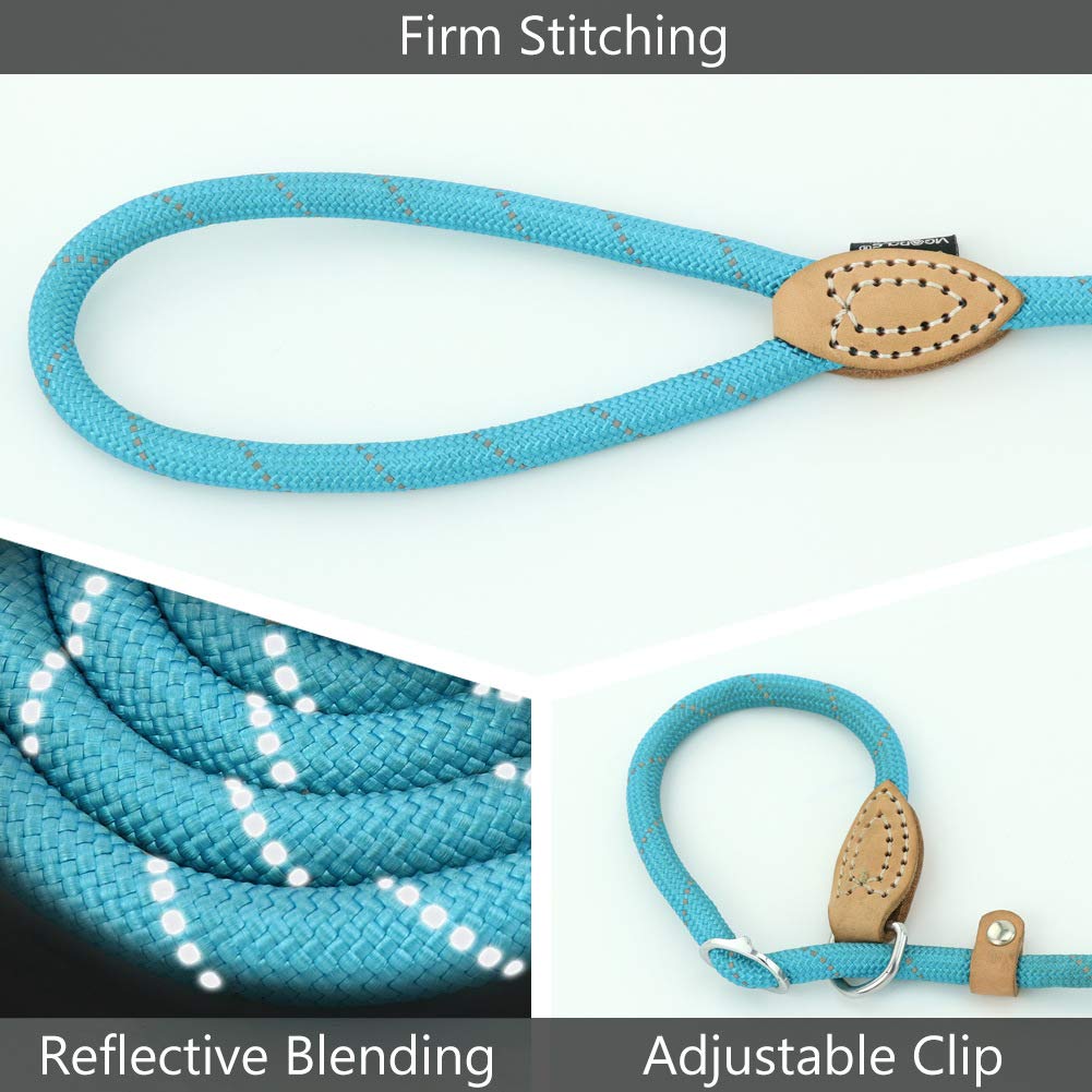 Grand Line Slip Lead Dog Leash, 5Ft Reflective Slip Rope, Puppy Training Walking Controlling Lead, Slip Collar Pet Leash For Small, Medium, Large Dogs (Blue, Medium-2/5In X 5Ft)