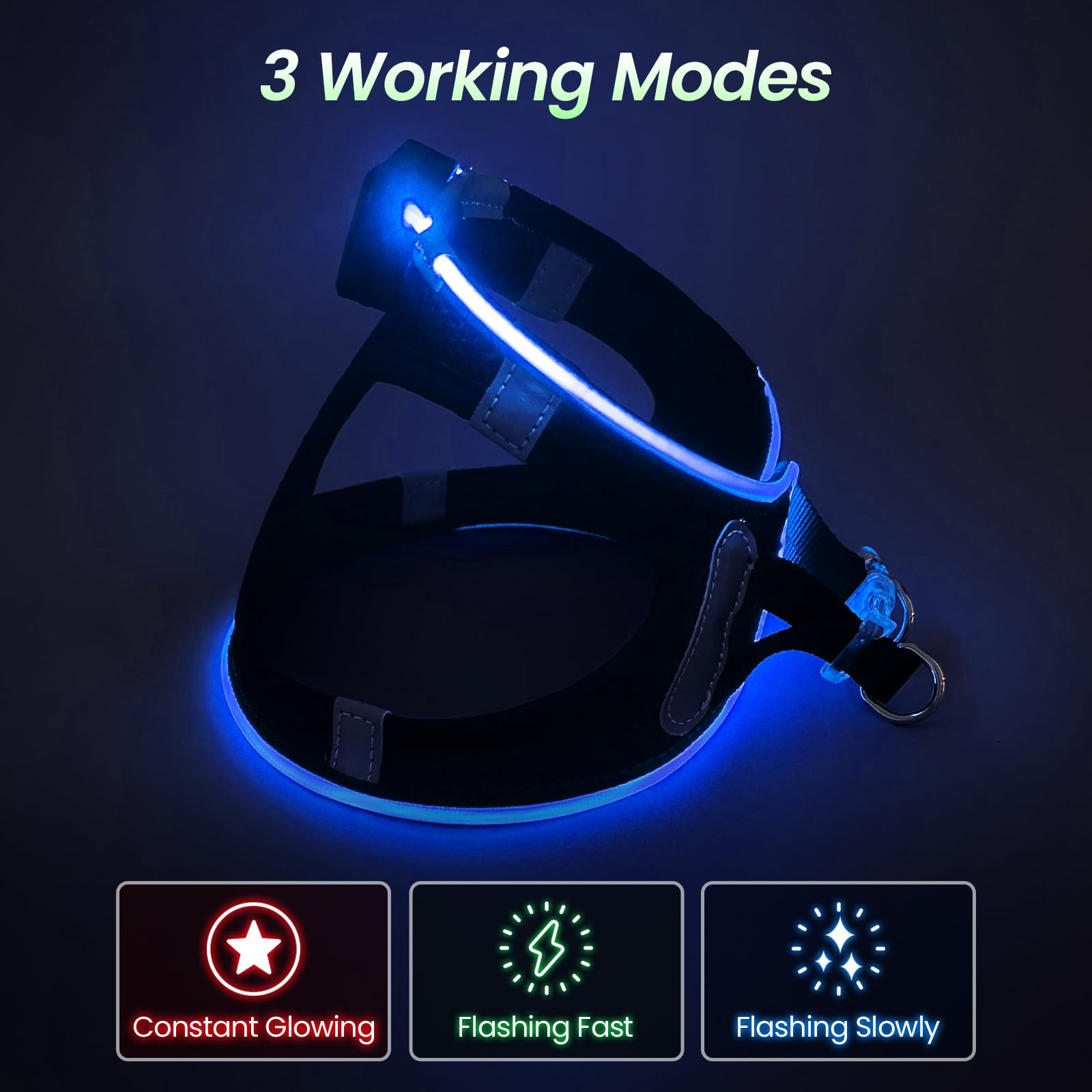 PcEoTllar LED Dog Harness - Rechargeable, Reflective, No Pull, XS, Blue