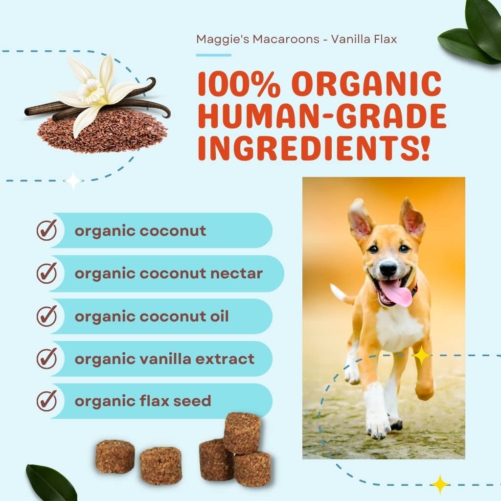 Cocotherapy Ctt-0011 MaggieS Macaroons Coconut Vanilla Flax (1 Pouch), 4 Oz