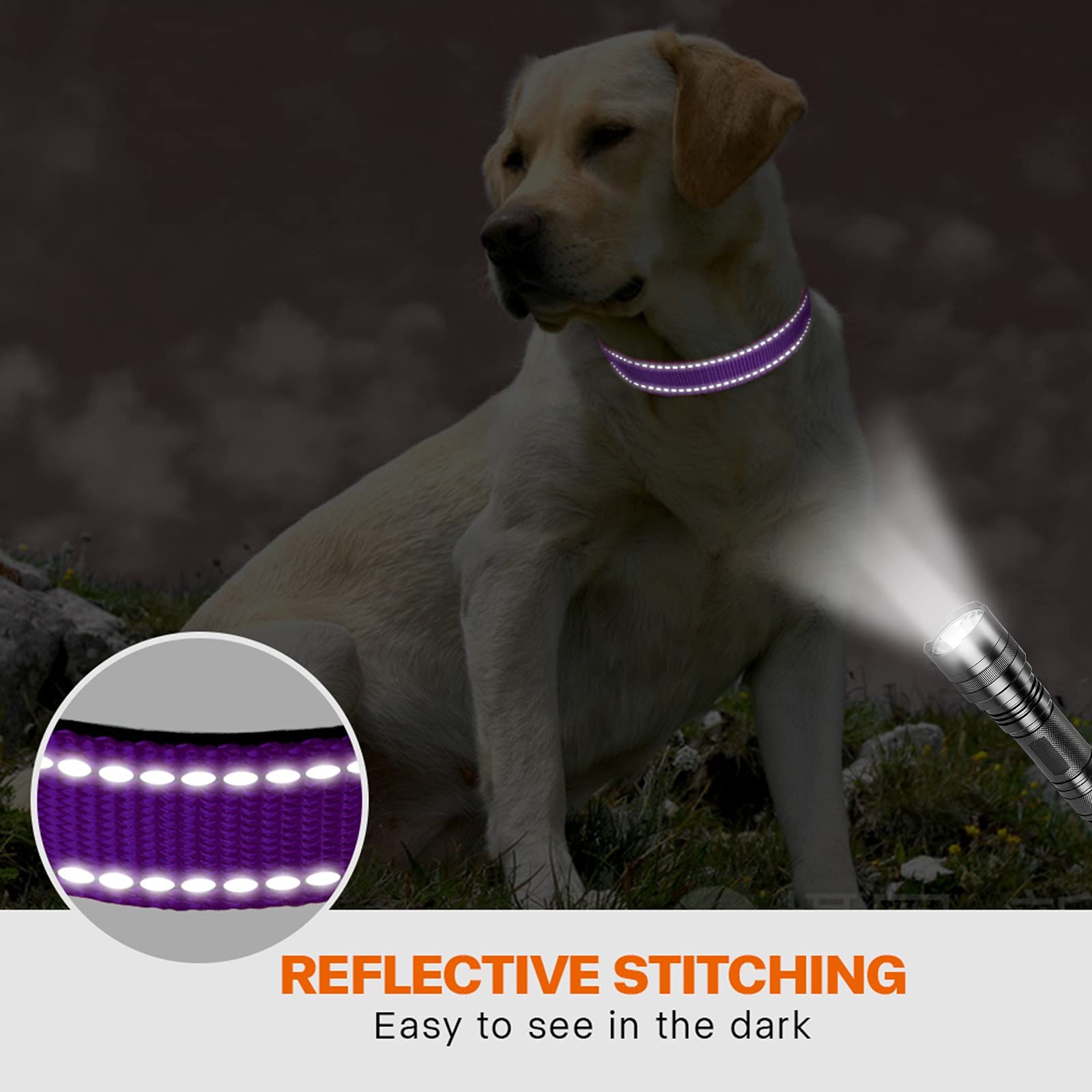 Taglory Reflective Dog Collar With Safety Locking Buckle, Adjustable Nylon Pet Collars For Extra Large Dogs Female Male, Purple,