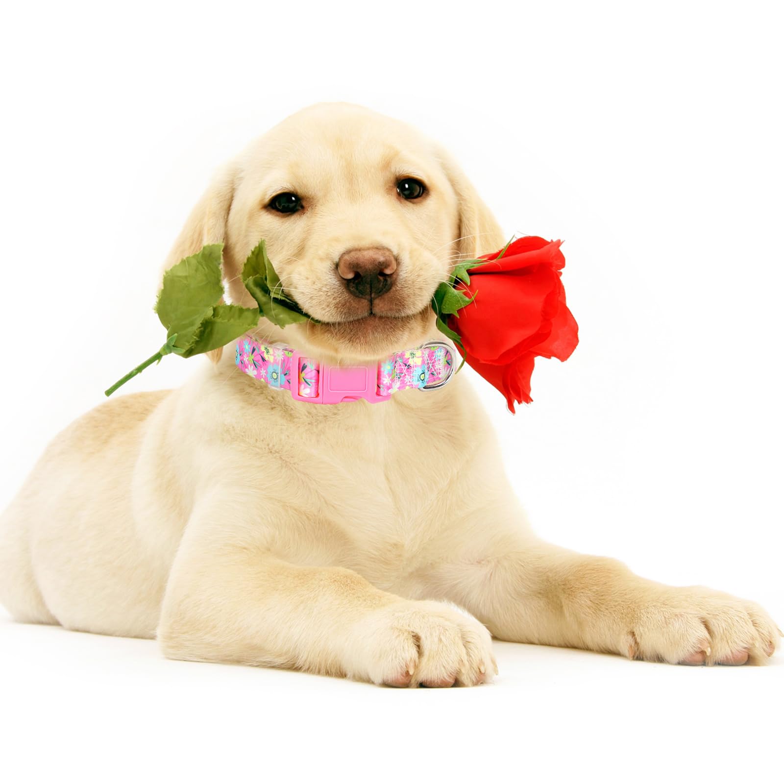 Girl Dog Collar For Large Dogs,Cute Pink Flowers Female Dog Collars Adjustable Soft Nylon Dog Collars For Small Medium Large Xl