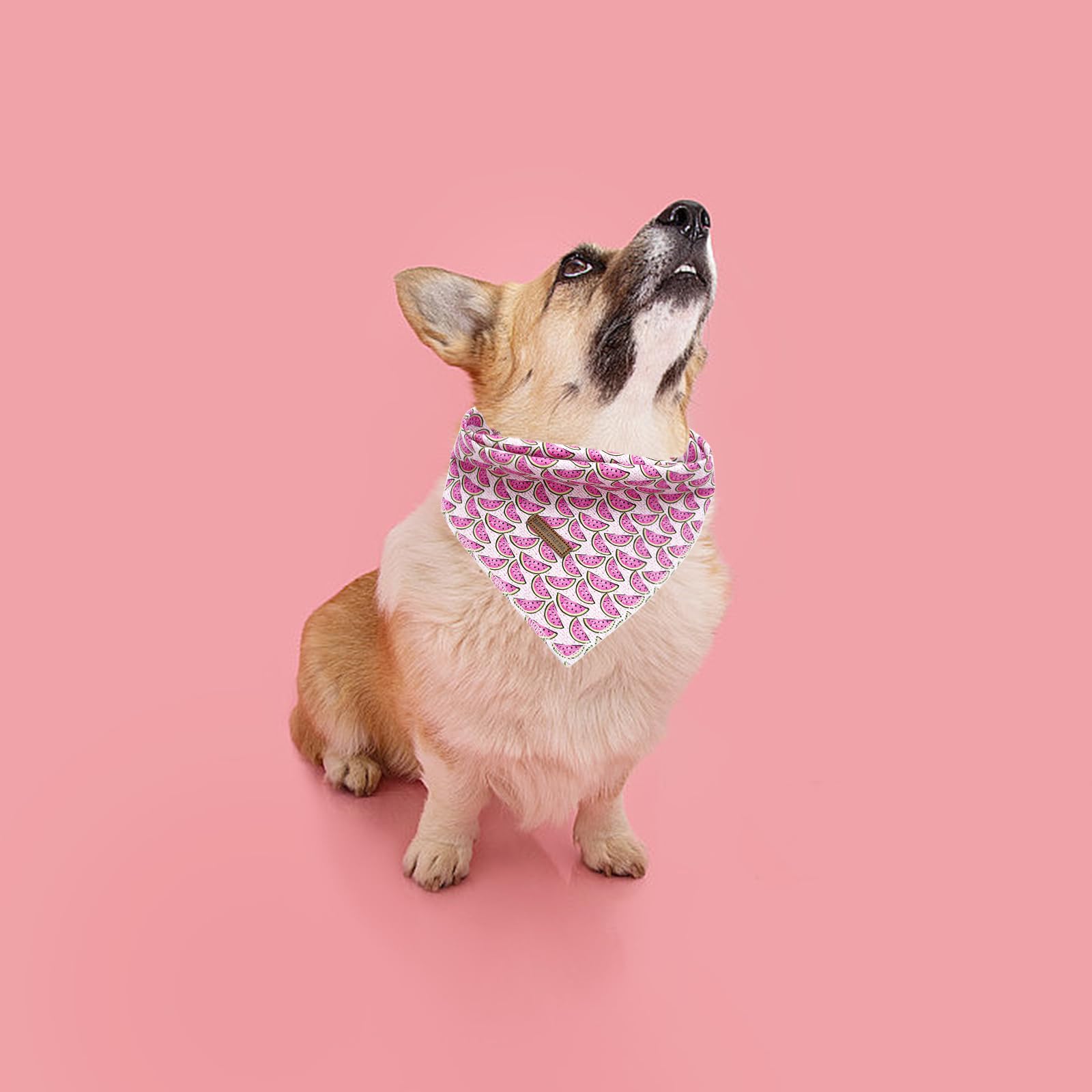 Elegant Little Tail Bandana - Washable Summer Kerchief, Dog Scarf For Small To Large Dogs