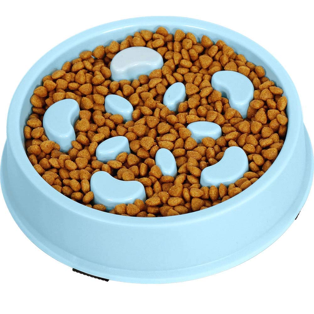 Upsky Slow Feeder Dog Bowl Fun Feeder No Chocking Slow Polypropylene Feeder Bloat Stop Food Water Bowl For Dog Cat With Funny Pa