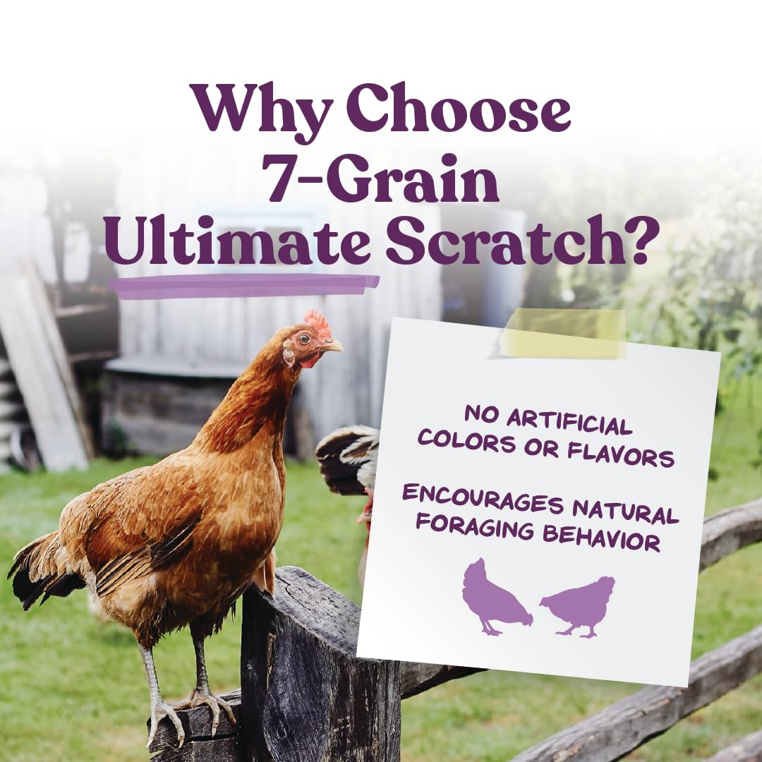 Manna Pro 7-Grain Ultimate Chicken Scratch - Non-GMO Treat for Birds - 10 lbs - Original Version