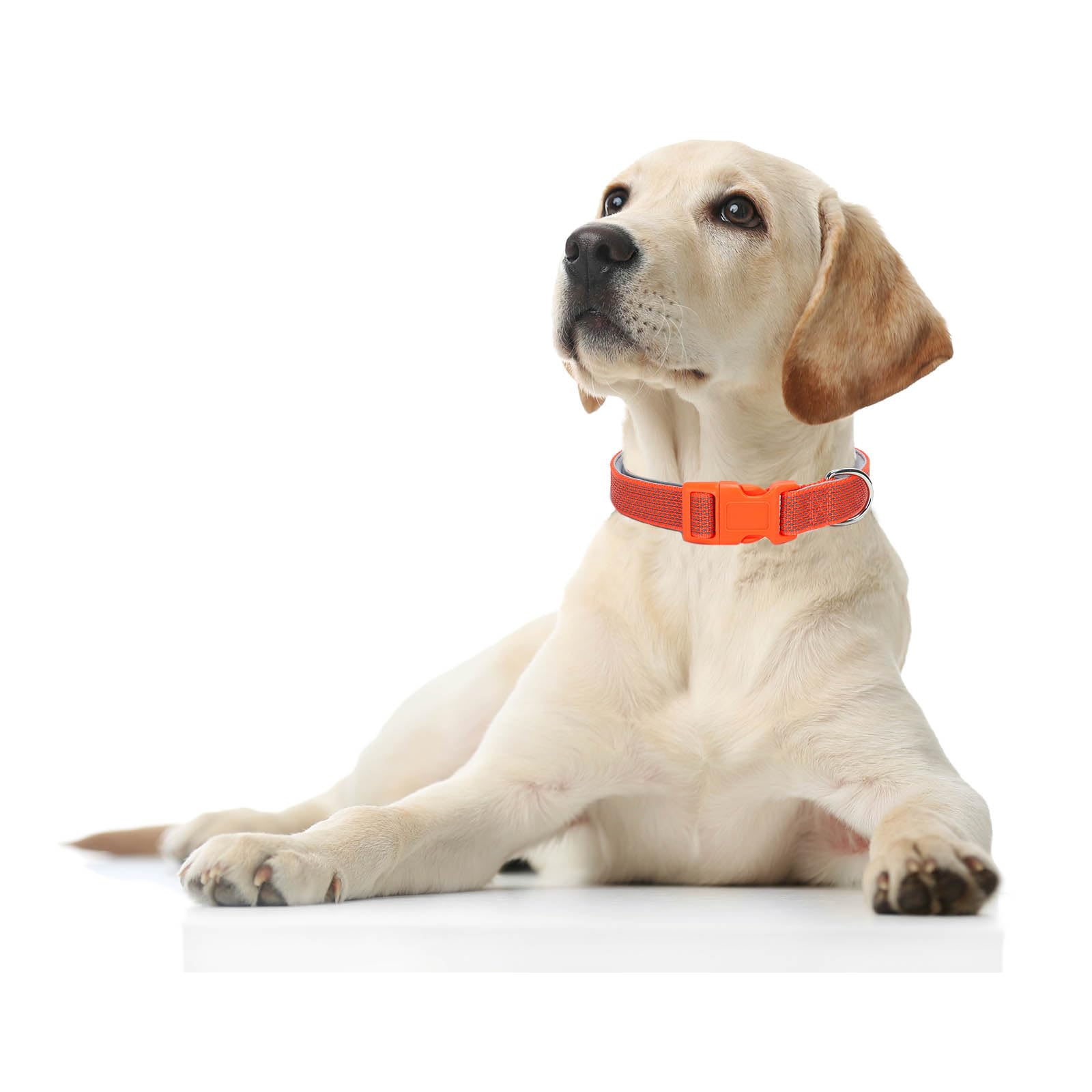 Reflective Dog Collar Padded-4 Size, Breathable Nylon Soft Neoprene Pet Collar For Small Medium And Large Dogs (Orange, Xs)