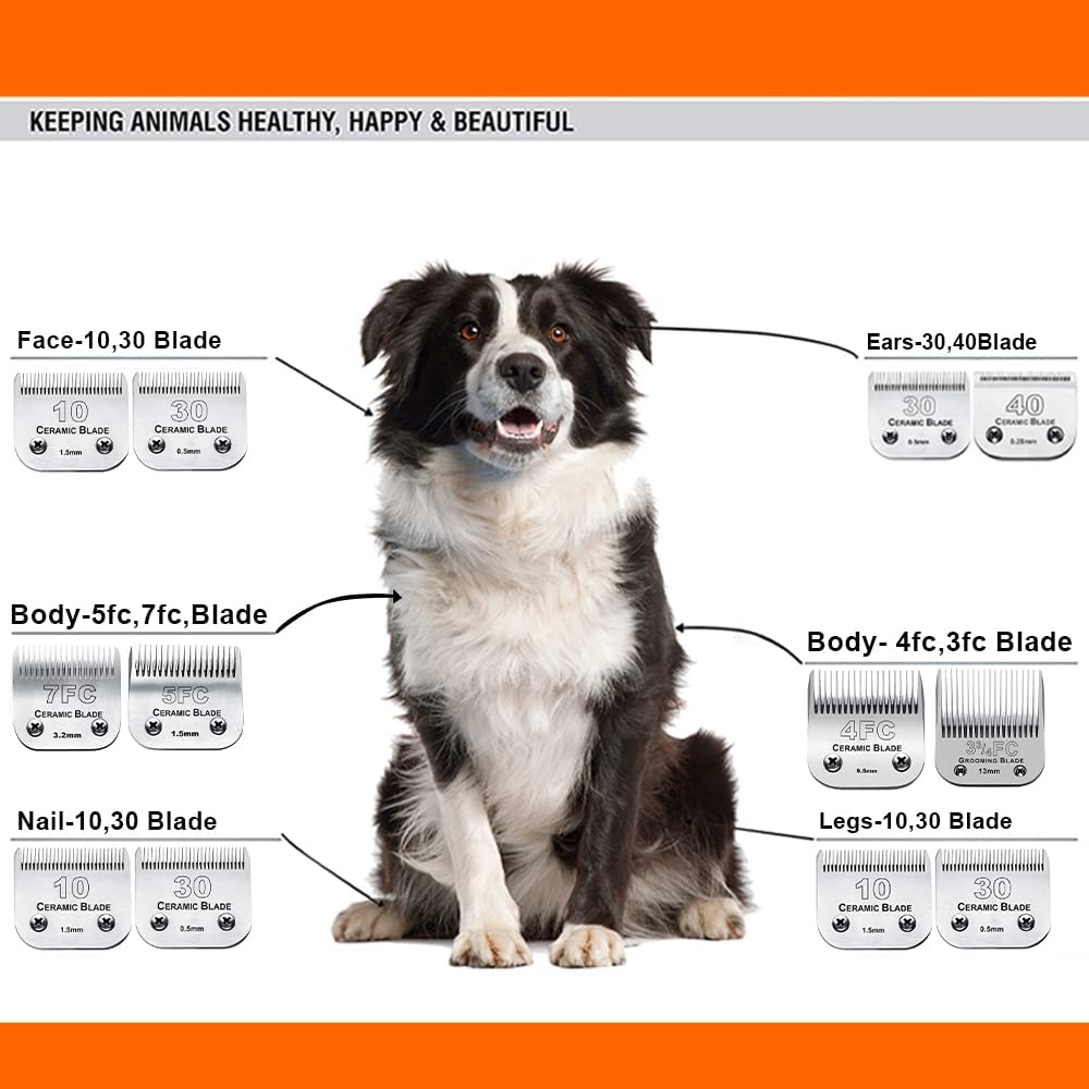 6Pack 10Blades Dog Grooming Replacement Blades Compatible With Andis Pet Clipper/Oster A5/Wahl Km Series Dog Clipper,Ceramic Bla
