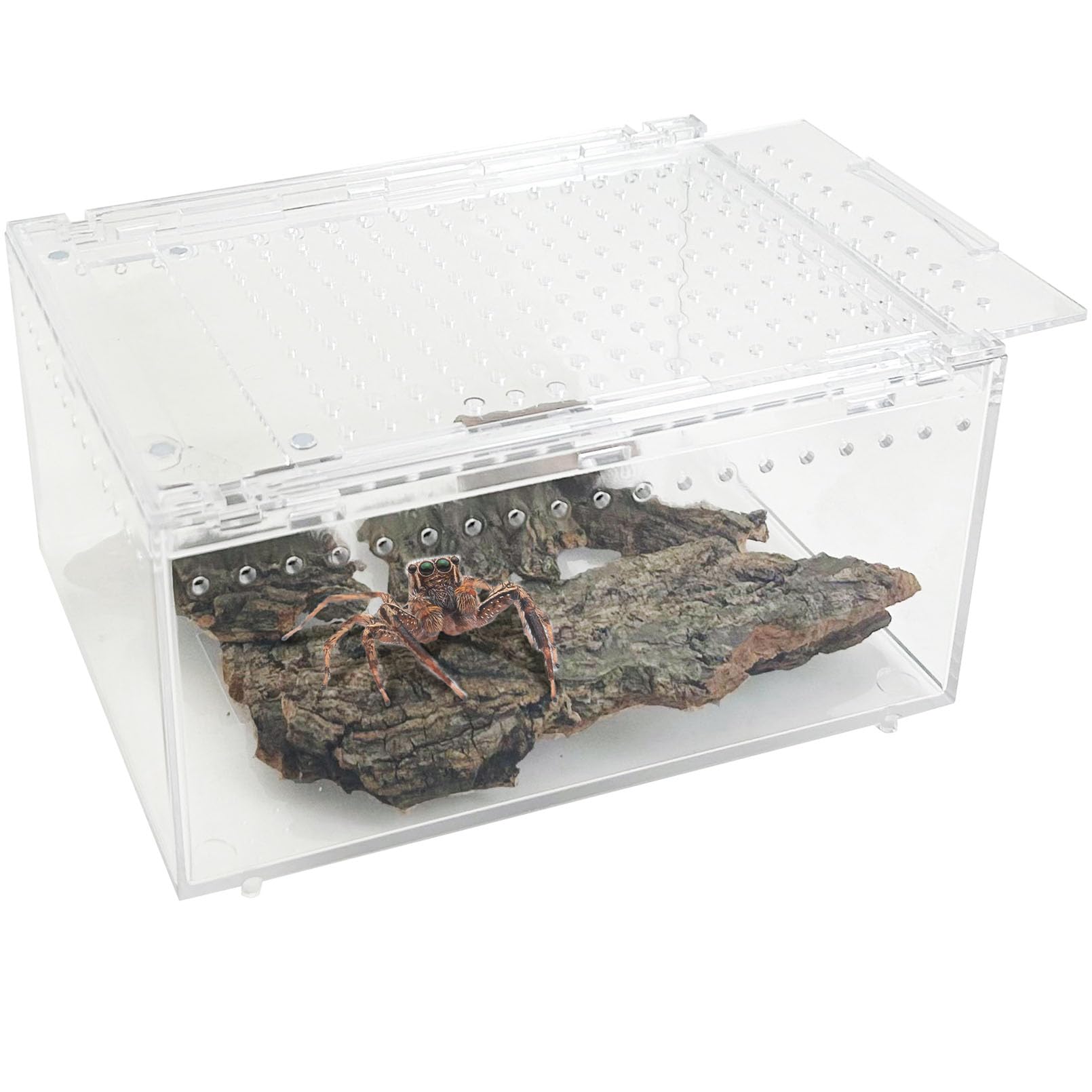 Apatal Acrylic Tarantula Enclosure Box No Assembly Reptile Terrarium 8x6x4in Transparent Sling Cage Magnetic Jumping Spiders Hab