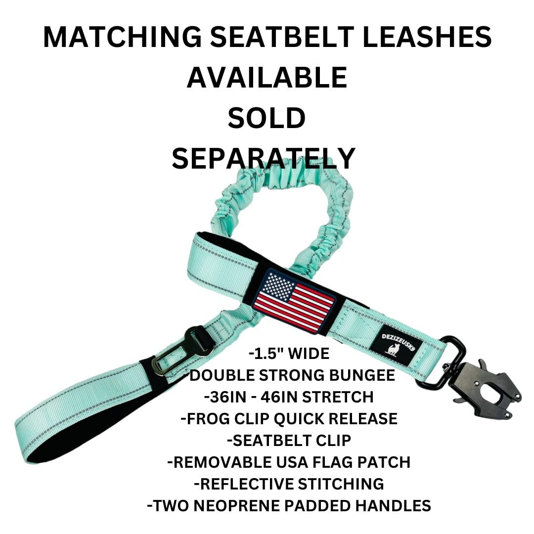 DEZIZEUSK9 Heavy Duty Military Dog Collar 2" Wide Adjustable Nylon MINTGREEN with Control Handle & Metal Buckle