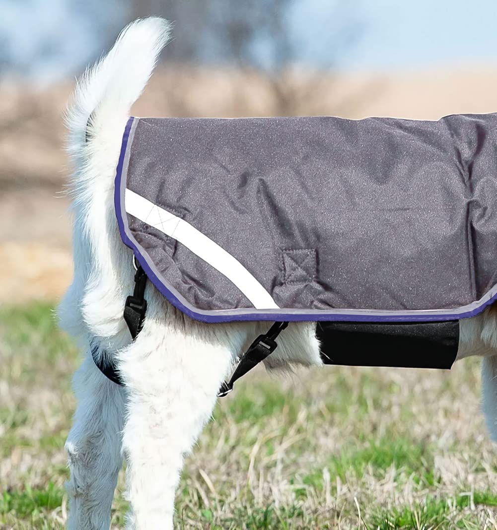 Horseware Goat Coat (100g Light)