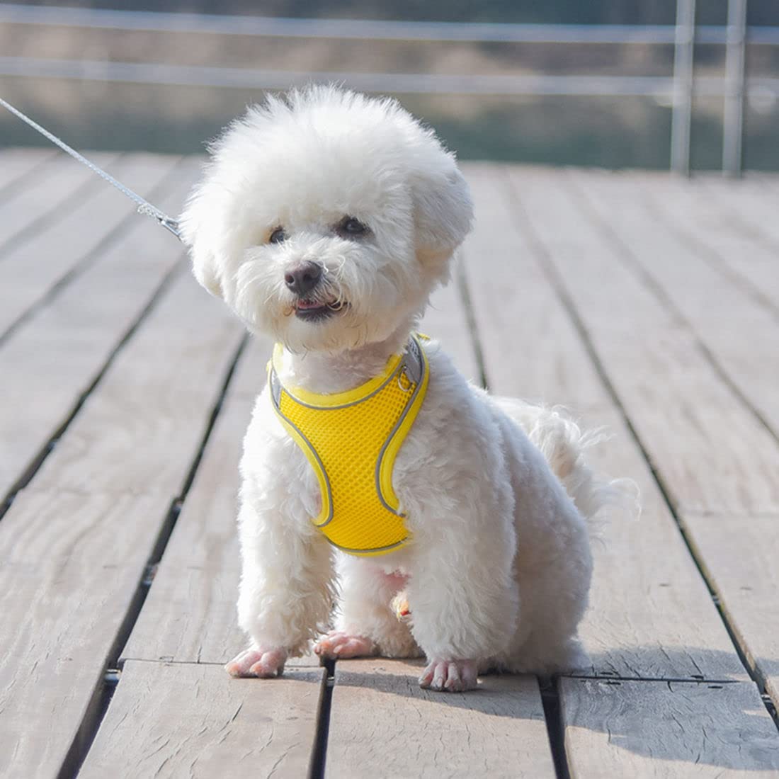Puppy Harness And Leash Set, No-Pull Small Dog Vest With Lead, Breathable Mesh Reflective Pet Harnesses For Outdoor Walking For