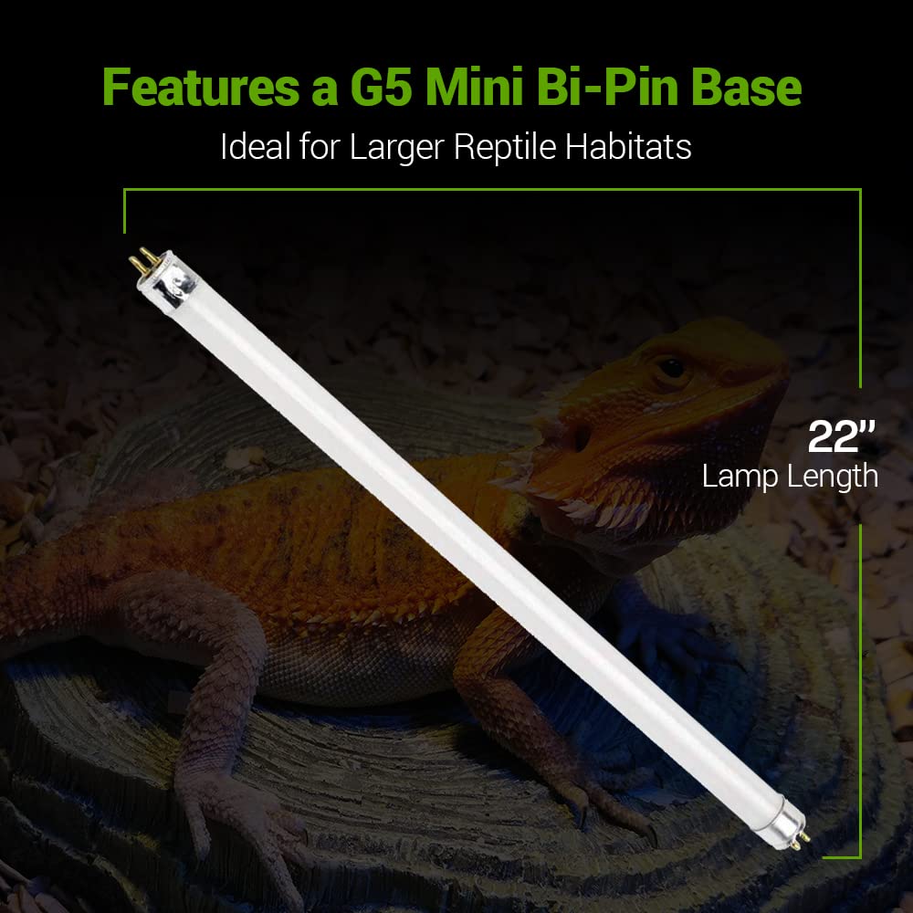Bluex Bulbs 2 Pack 24W T5 HO Reptile UVA UVB Fluorescent Tube Light 22" for Bearded Dragons, Yellow