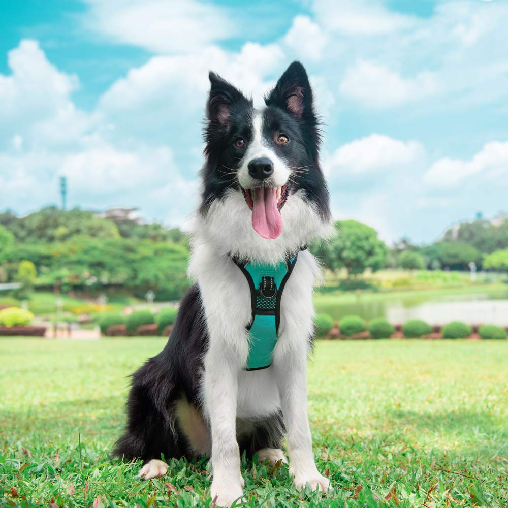 PoyPet No Pull Dog Harness - Reflective, 4 Snap Buckles, XL, Mint Blue, Wear-resistant Oxford, Model 132050