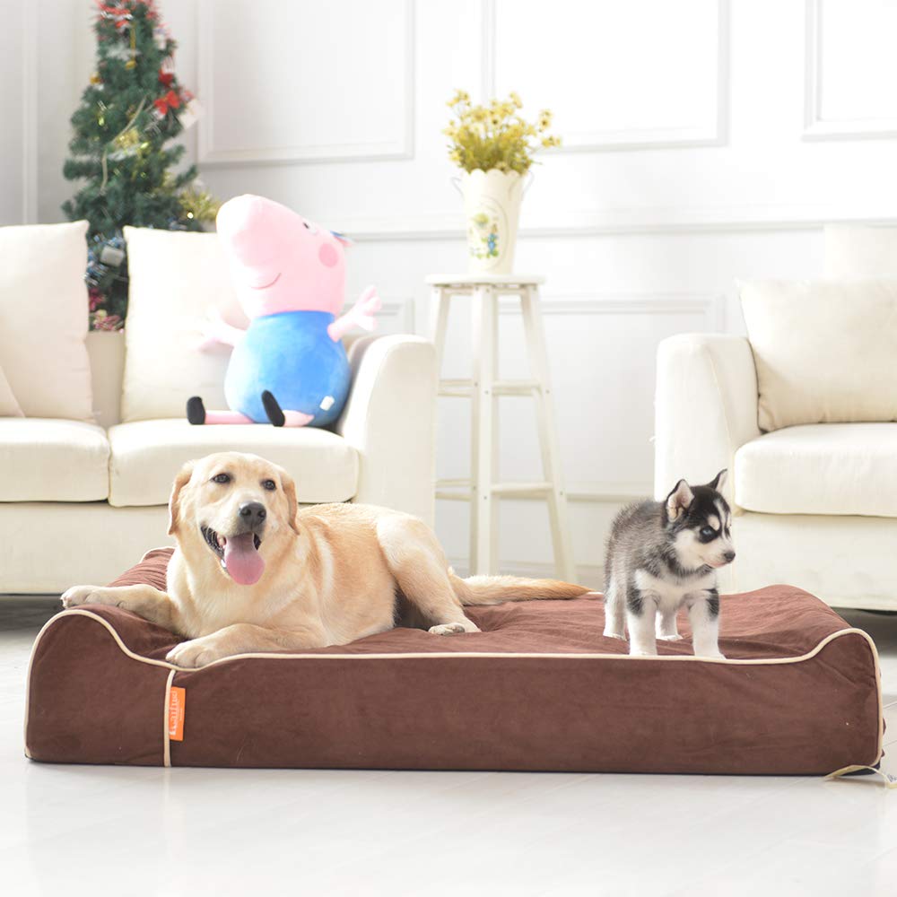 Laifug Orthopedic Memory Foam Extra Large Dog Bed Pillow(50'X36'X10', Chocolate) Durable Water Proof Liner & Removable Washable Cover & Smart Design