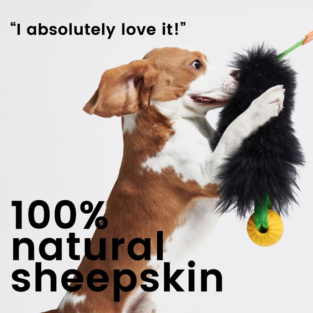 Howgo Dog Rope Toy,Dog Bungee Chaser Toy 100% Sheepskin,Sheep Smell Tug Toy For All Breeds (Purple, Short Without Ball)