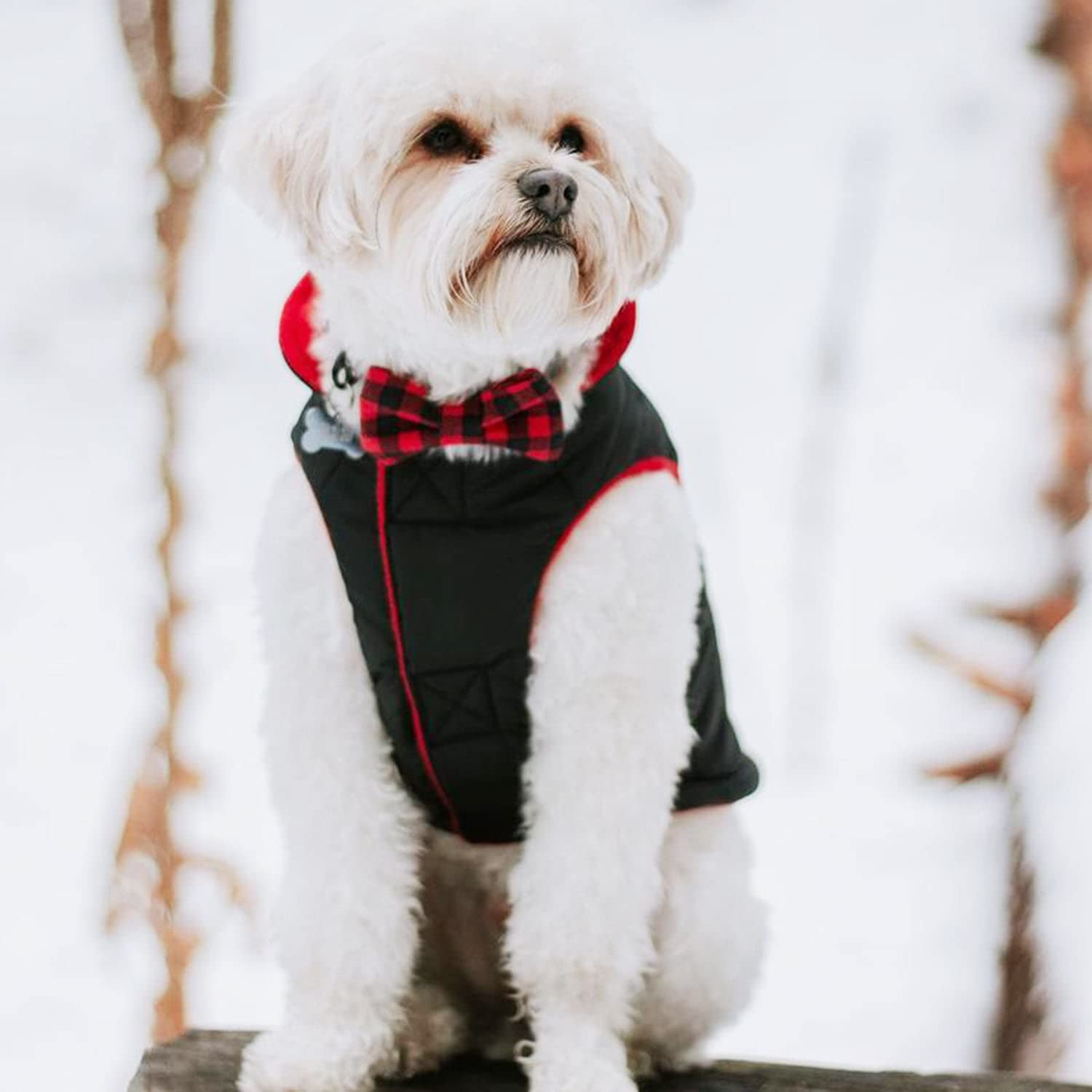 Gooby - Sports Vest, Fleece Lined Small Dog Cold Weather Jacket Coat Sweater With Reflective Lining, Black, Small