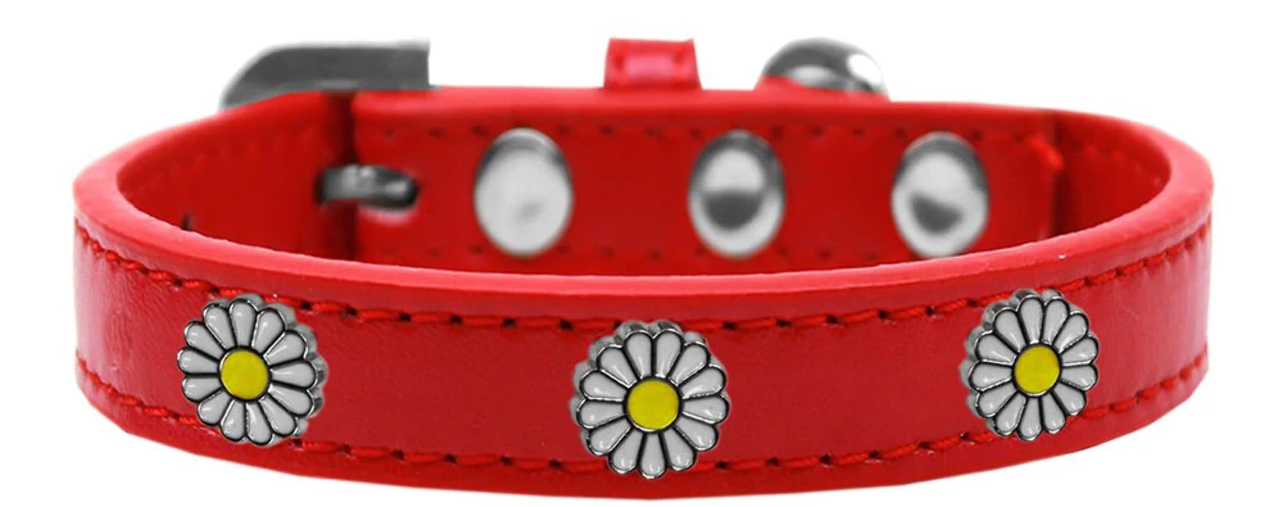 Dog, Puppy and Pet Widget Fashion Collar, "White Daisies" Aqua 18