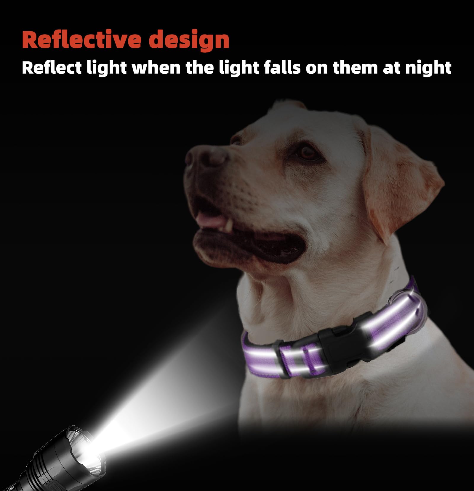 Medium Dog Collar, Reflective Pet Collar With Buckle Adjustable Safety Nylon Collars For Small Medium Large Dogs, Purple