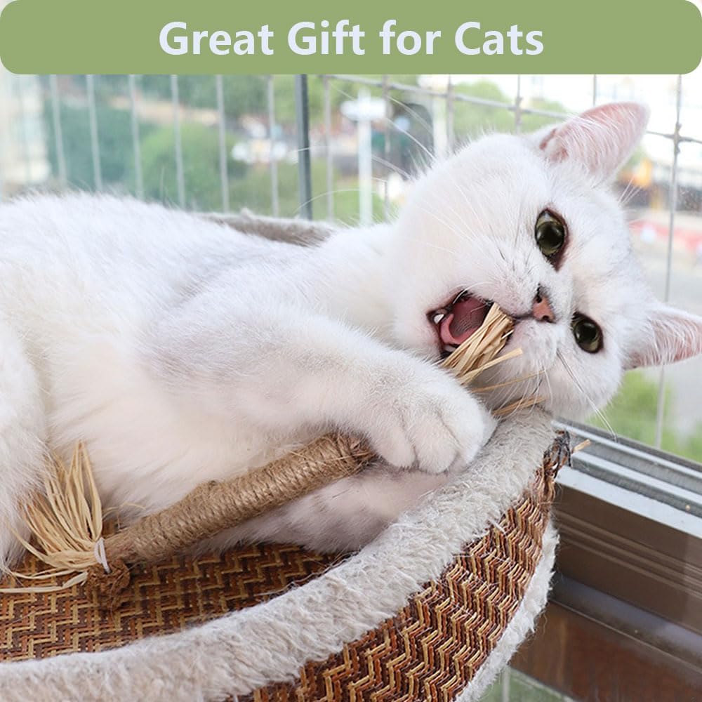 Relonggi 3 Pcs Silvervine Sticks For Cats - Natural Cat Chew Toys For Teeth Cleaning, Kitten Teething & Aggressive Chewers