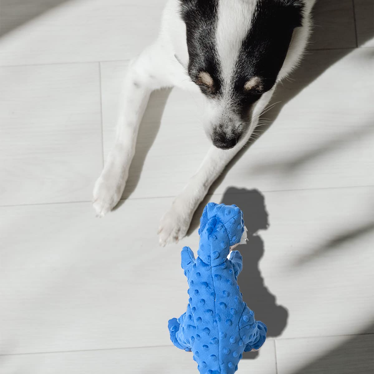 Dododola Stuffed Dog Toys Durable Plush Dog Toy With Crinkle Paper Cute Dinosaur Squeaky Dog Toys Dog Chew Toys For Medium Large Breed