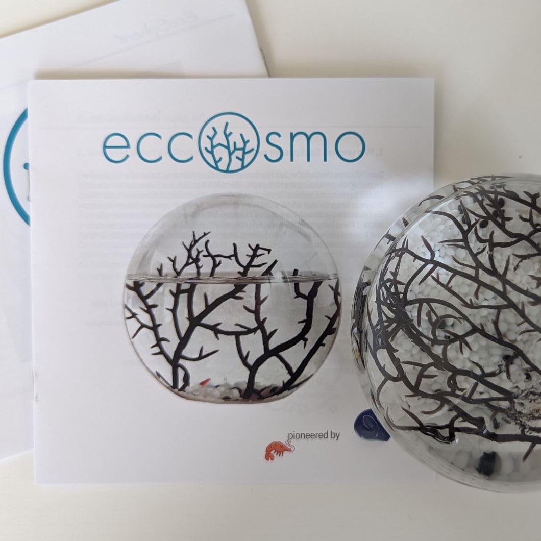 Eccosmo- Closed Ecosystem, Small Round Sphere 4