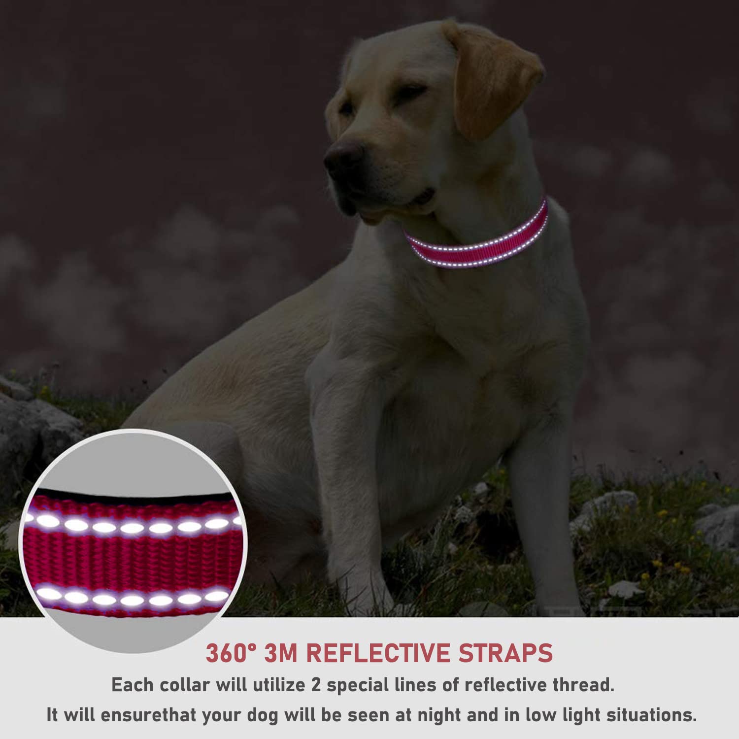 Reflective Dog Collar With Buckle Adjustable Safety Nylon Collars For Small Medium Large Dogs, Red Xs
