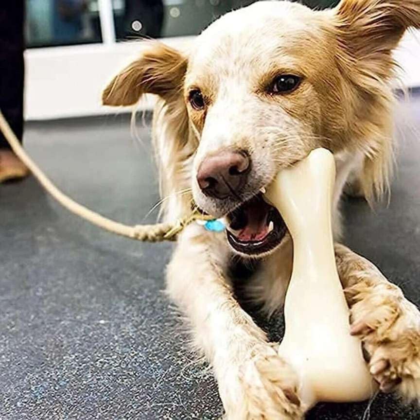 Pet & Vet 02 Pc Dog Nylon Hard Chew 9Inch Bone Toys For Adult Dogs, Dogtoys, Aggressive Chewers Teething Toys, Suitable For Larg