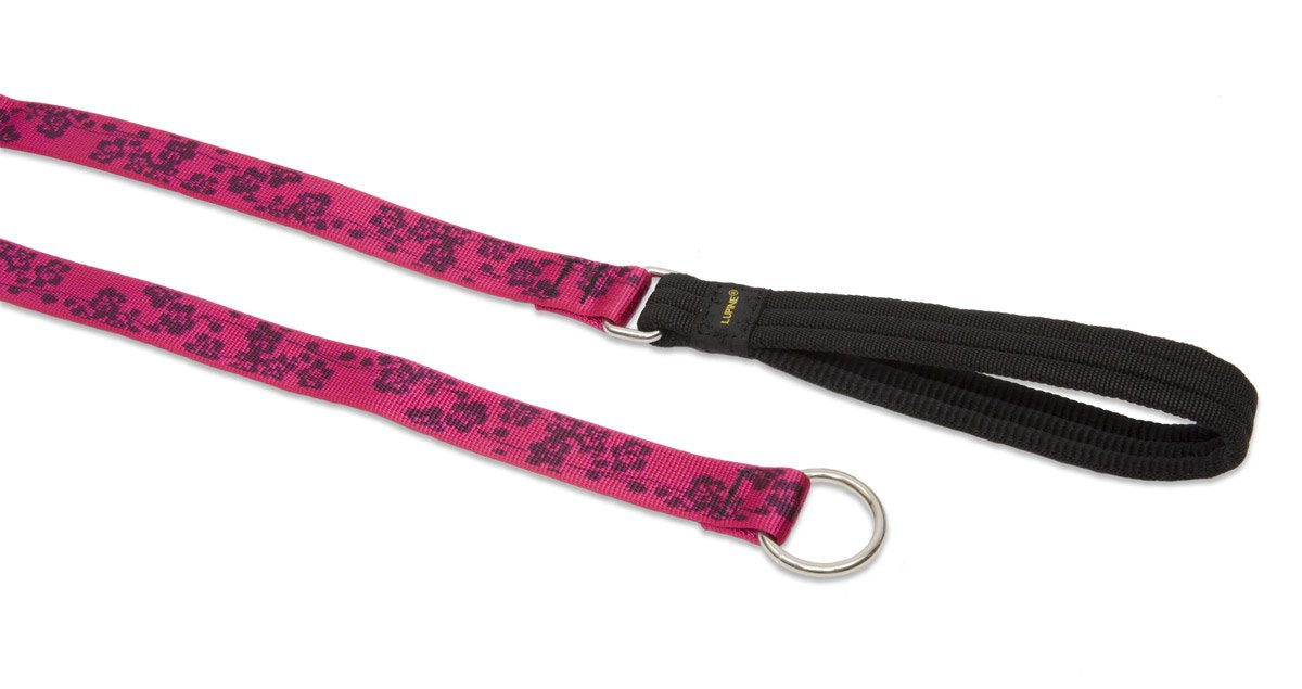LupinePet Originals 1'' Plum Blossom 6-foot Slip Lead/Leash for Medium and Larger Dogs