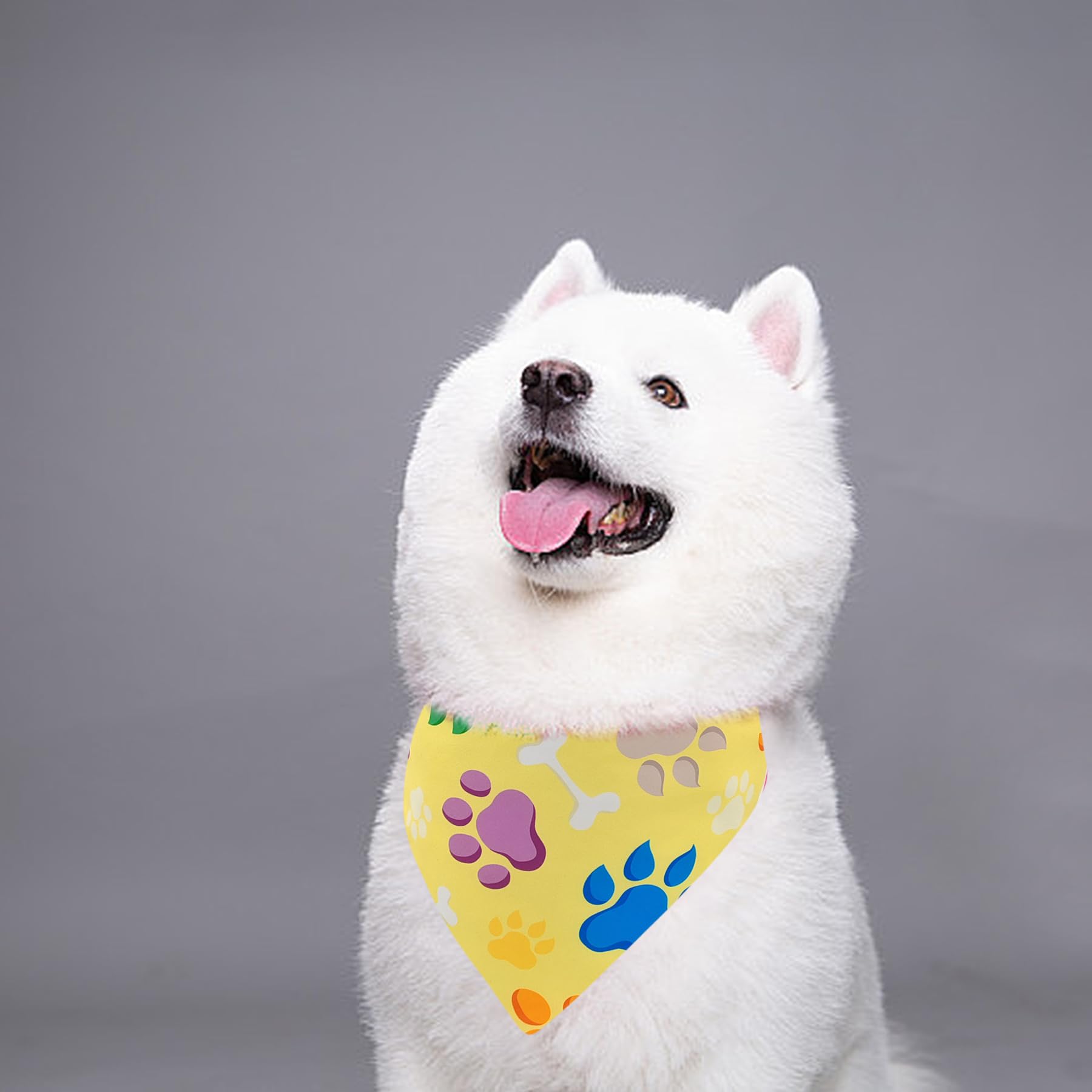 Pai Sence 7 Pcs Paw Print Dog Bandanas For Large Dog Breed 33 Inch Extra Large Polyester Dogs Bandana Xl Scarves Party Grooming
