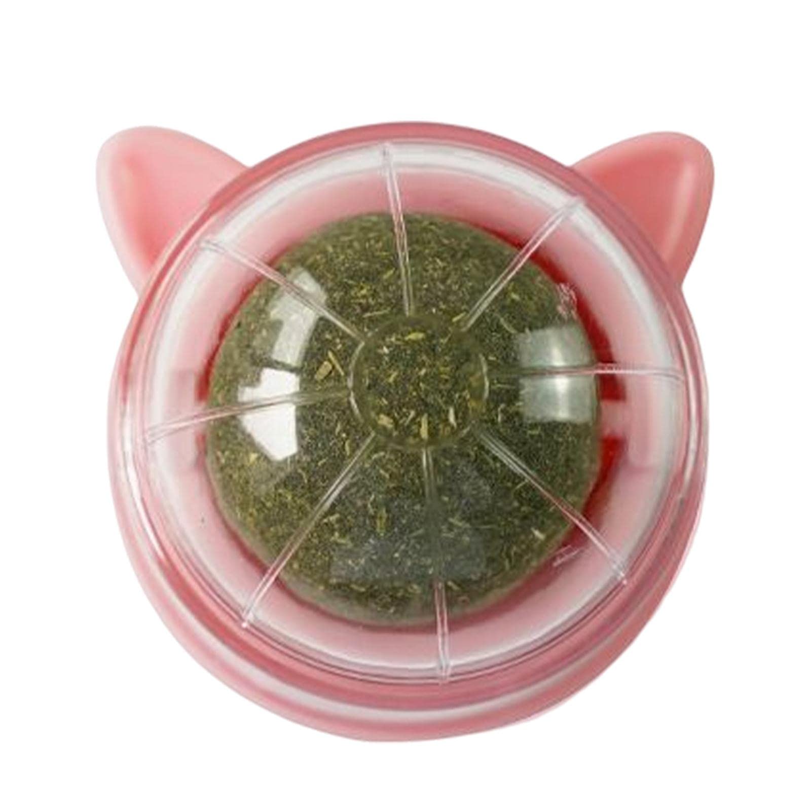Ecomistiq Catnip Ball Toys Teething Toy Snack Pet French Windows With Lid Chew Cat Style L| Toys| Supplies |Pet
