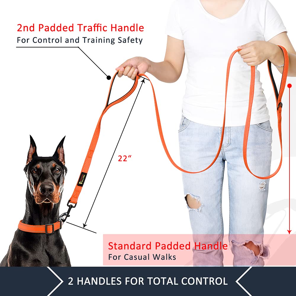 Plutus Pet Double Handle Dog Leash 4Ft, Heavy Duty, Reflective Dual Handle Dog Leash For Safety Training, For Medium Large Dogs,