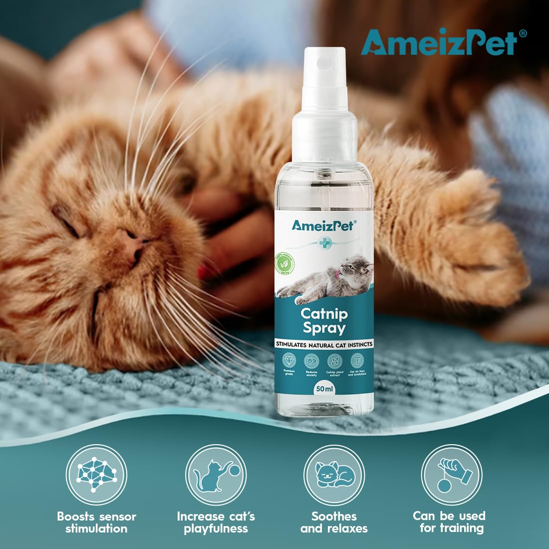 AmeizPet Catnip Spray for Cats, 50 ml Transparent Cat & Kitten Behavior Spray, Plastic