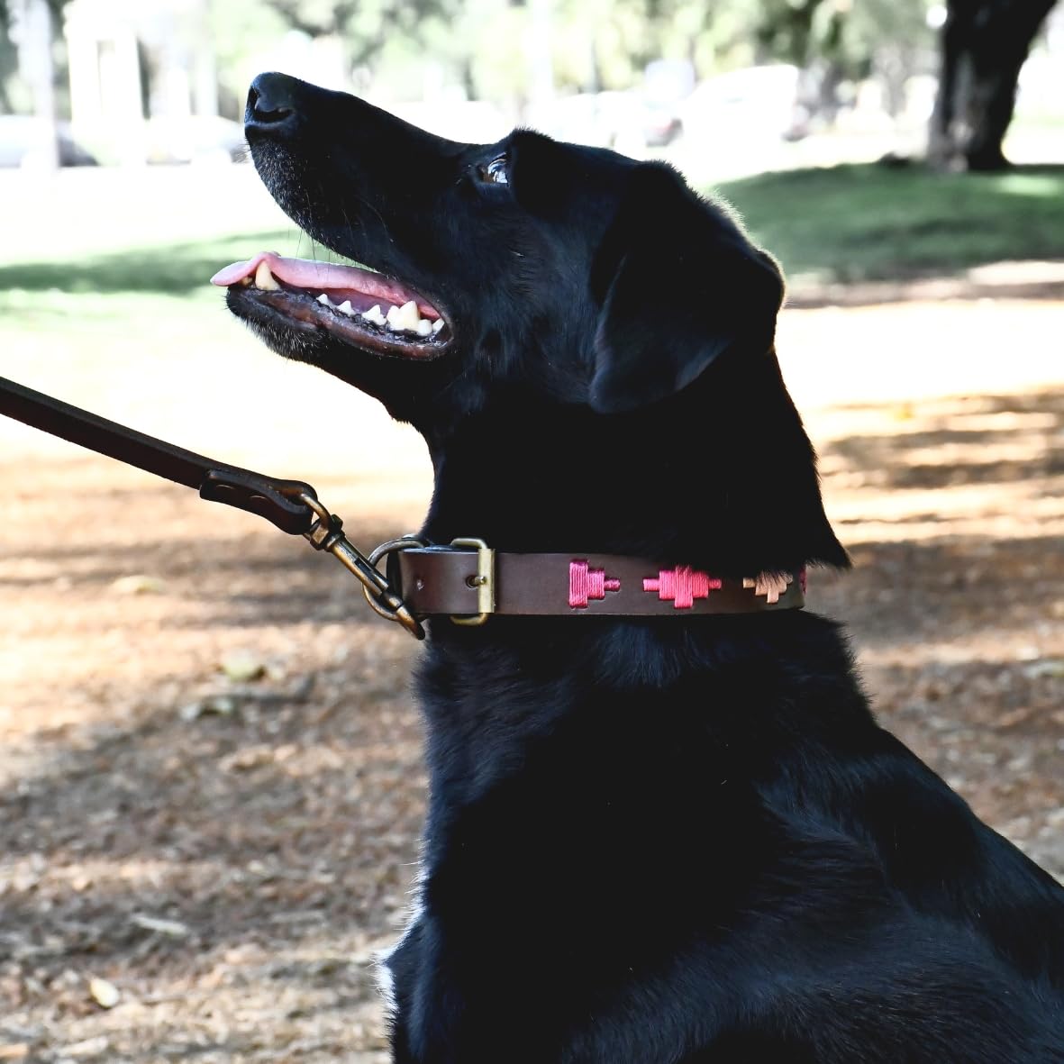 Gaucholife Polo Dog Collar Leather Hand-Stitched For Girls Female Dog Accessories (Large, Pinos)