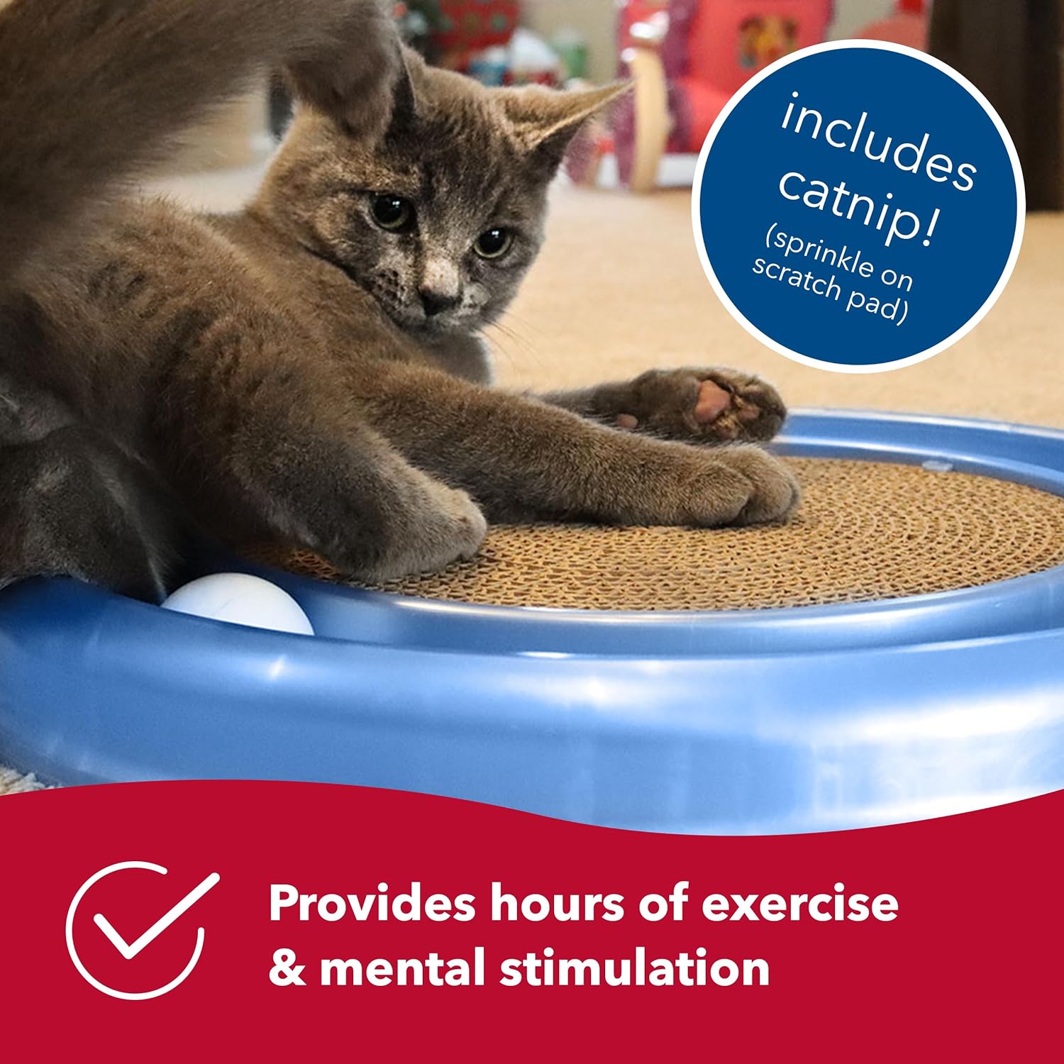 Bergan Turbo Scratcher Cat Toy 16” + Grooming Arch Combo - Interactive Scratch Pad & Self Groomer for Cats