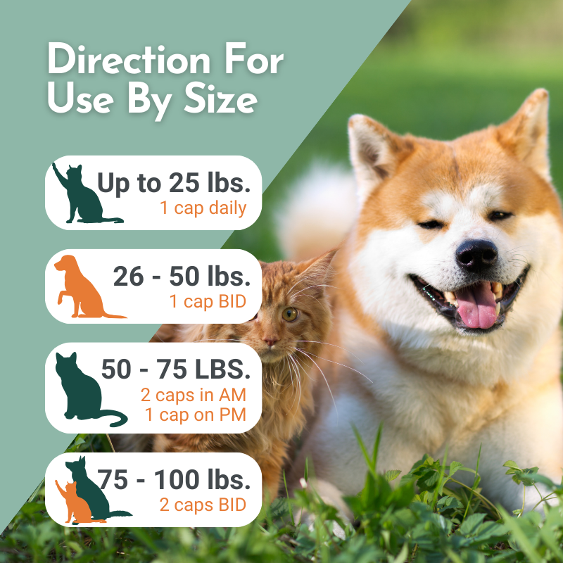 Arthri-Pawz – with Glucosamine for Cats and Dogs