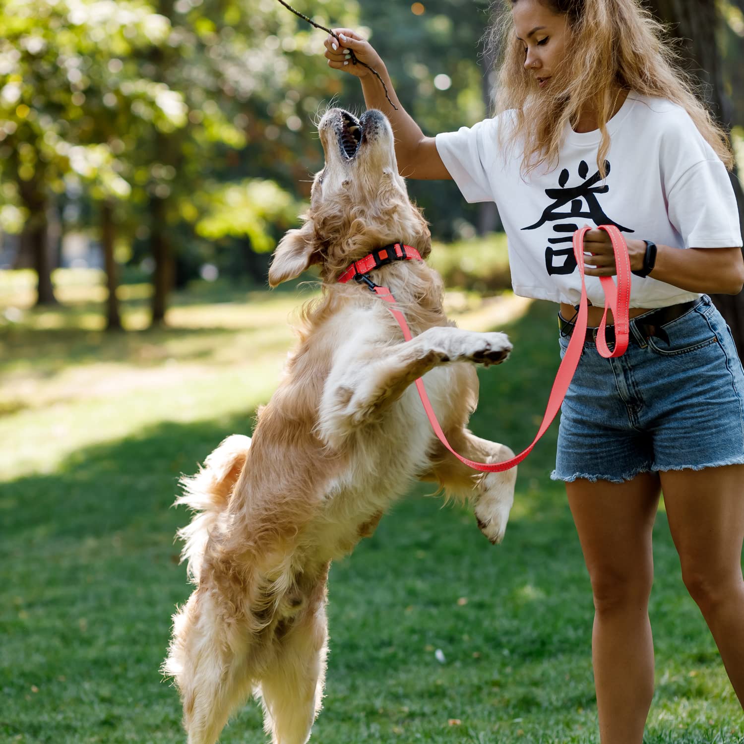 Collardirect Reflective Dog Collar For A Small, Medium, Large Dog Or Puppy With A Quick Release Buckle - Boy And Girl - Nylon Suitable For Swimming (14-18 Inch, Coral)