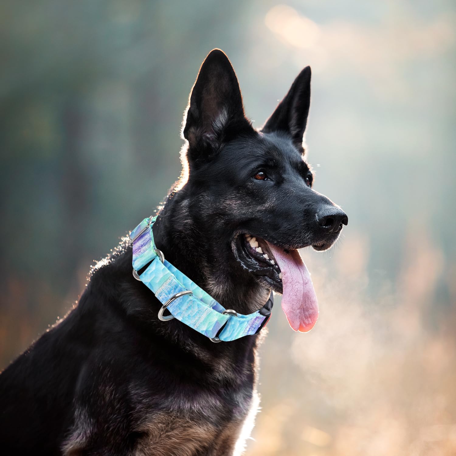 Martingale Collar For Dogs, Blue No Escape Training Dog Collar For Medium Dogs, Adjustable Safety Buckle Dog Collar, Perfect Boy