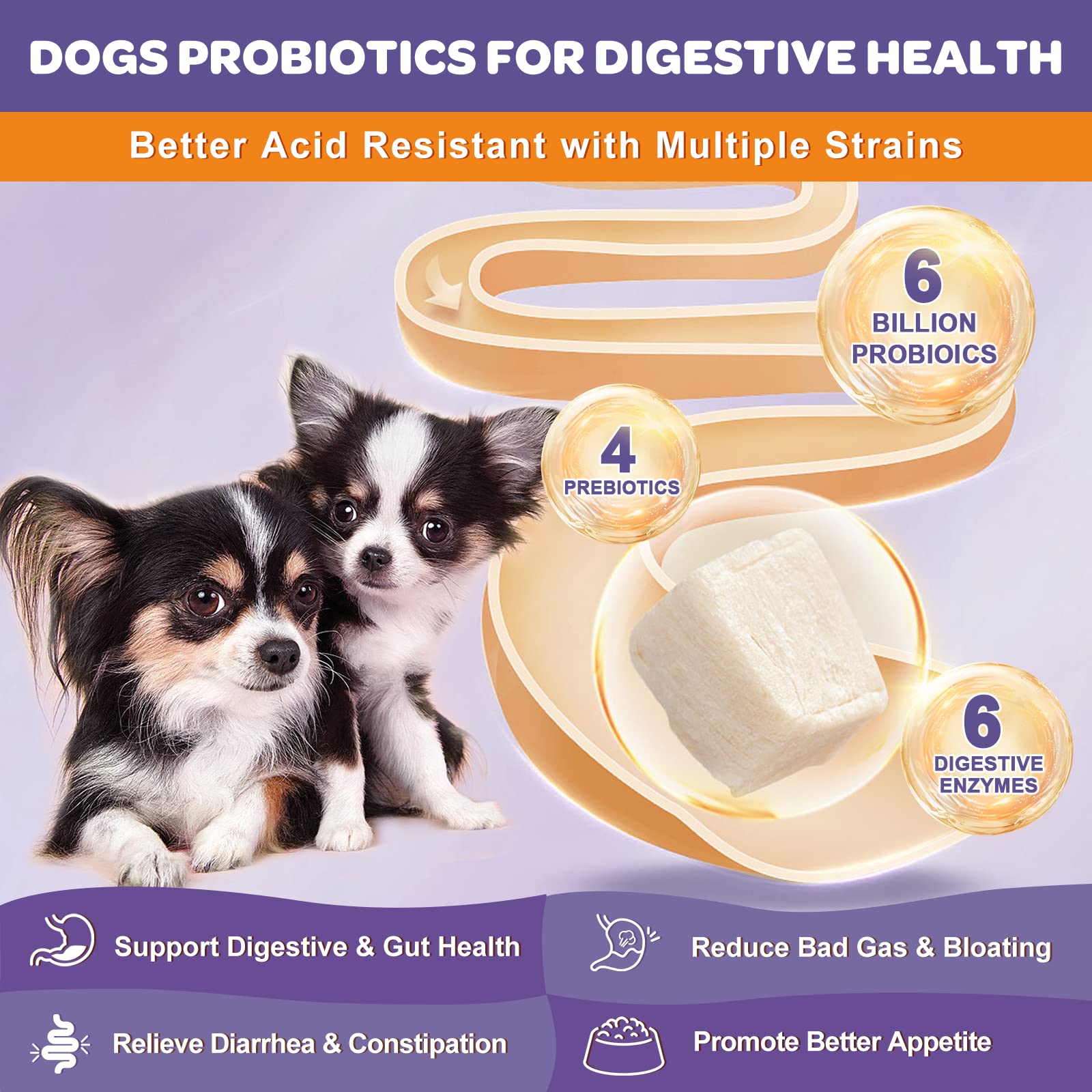 NATURE TARGET Probiotics for Dogs - 6 Billion CFUs, Digestive & Immune Support, Allergy Relief, Freeze Dried, Model T06-GYSJKL-120
