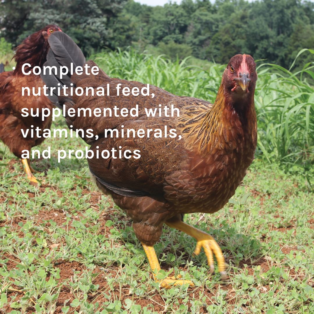 New Country Organics | Classic Layer Feed for Laying Hens | Soy-Free | 17% Protein | Certified Organic and Non-GMO | 25 lbs