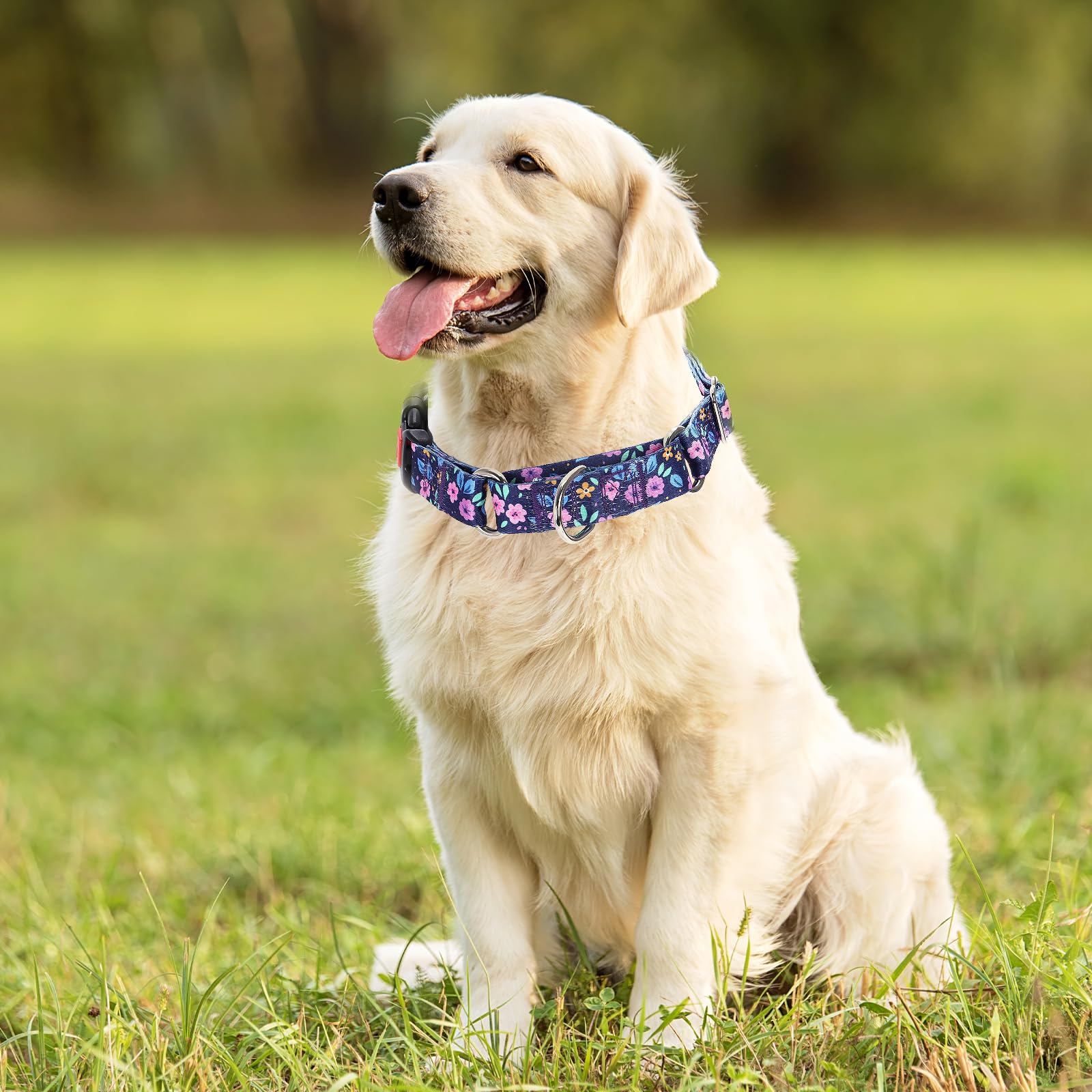 Martingale Collar For Medium Dogs, Heavy Duty Training Collars With Bull Flower Design, Adjustable No Slip Collar With Safety Bu